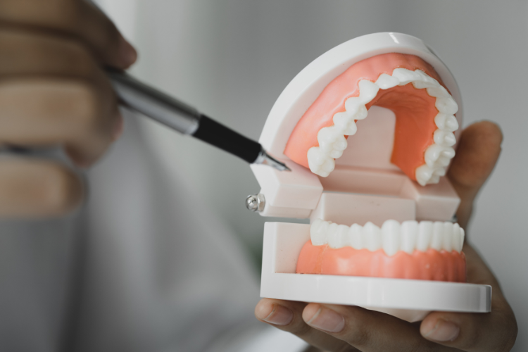 歯並びが悪い乳歯の治療方法について